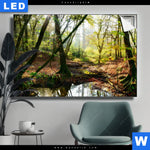 Leuchtbild Natuerlicher Wald Querformat Produktvorschau mit dem Bild Natürlicher Wald im Format Querformat.
