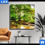 Leuchtbild Natur Pur Der Wald Quadrat Produktvorschau mit dem Bild Natur pur - Der Wald im Format Quadrat.