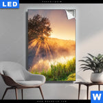 Leuchtbild Nebel Am Fluss Hochformat Produktvorschau mit dem Bild Nebel am Fluss im Format Hochformat.