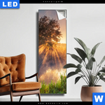 Leuchtbild Nebel Am Fluss Schmal Produktvorschau mit dem Bild Nebel am Fluss im Format Schmal.