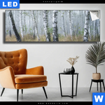 Leuchtbild Nebliger Morgen Im Birkenwald Panorama Produktvorschau mit dem Bild Nebliger Morgen im Birkenwald im Format Panorama.