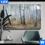 Leuchtbild Nebliger Morgen Im Birkenwald Querformat Produktvorschau mit dem Bild Nebliger Morgen im Birkenwald im Format Querformat.