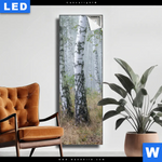 Leuchtbild Nebliger Morgen Im Birkenwald Schmal Produktvorschau mit dem Bild Nebliger Morgen im Birkenwald im Format Schmal.