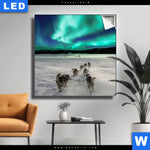 Leuchtbild Nordlichter Und Schlittenhunde Quadrat Produktvorschau mit dem Bild Nordlichter und Schlittenhunde im Format Quadrat.