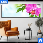 Leuchtbild Orchidee Wassertropfen Panorama Produktvorschau mit dem Bild Orchidee & Wassertropfen im Format Panorama.