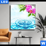 Leuchtbild Orchidee Wassertropfen Quadrat Produktvorschau mit dem Bild Orchidee & Wassertropfen im Format Quadrat.