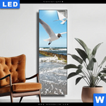 Leuchtbild Ostseekueste Moewen Schmal Produktvorschau mit dem Bild Ostseeküste & Möwen im Format Schmal.