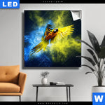 Leuchtbild Papagei Farbexplosion Quadrat Produktvorschau mit dem Bild Papagei - Farbexplosion im Format Quadrat.