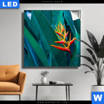 Leuchtbild Paradiesvogelblume Quadrat Produktvorschau mit dem Bild Paradiesvogelblume im Format Quadrat.