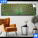 Leuchtbild Pfauenschwanz Panorama Produktvorschau mit dem Bild Pfauenschwanz im Format Panorama.
