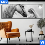 Leuchtbild Pferd Wildnis Liebe Panorama Produktvorschau mit dem Bild Pferd - Wildnis Liebe im Format Panorama.