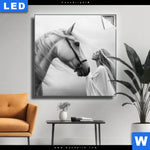 Leuchtbild Pferd Wildnis Liebe Quadrat Produktvorschau mit dem Bild Pferd - Wildnis Liebe im Format Quadrat.