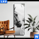 Leuchtbild Pferd Wildnis Liebe Schmal Produktvorschau mit dem Bild Pferd - Wildnis Liebe im Format Schmal.