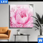 Leuchtbild Pfingstrose Quadrat Produktvorschau mit dem Bild Pfingstrose im Format Quadrat.