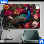Leuchtbild Prachtvoller Pfau Und Blueten Querformat Produktvorschau mit dem Bild Prachtvoller Pfau und Blüten im Format Querformat.