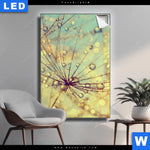 Leuchtbild Pusteblume Bei Sonnenuntergang Hochformat Produktvorschau mit dem Bild Pusteblume bei Sonnenuntergang im Format Hochformat.