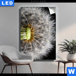 Leuchtbild Pusteblume No 10 Hochformat Produktvorschau mit dem Bild Pusteblume No. 10 im Format Hochformat.