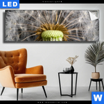 Leuchtbild Pusteblume No 10 Panorama Produktvorschau mit dem Bild Pusteblume No. 10 im Format Panorama.