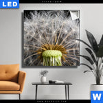 Leuchtbild Pusteblume No 10 Quadrat Produktvorschau mit dem Bild Pusteblume No. 10 im Format Quadrat.