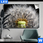 Leuchtbild Pusteblume No 10 Querformat Produktvorschau mit dem Bild Pusteblume No. 10 im Format Querformat.