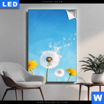 Leuchtbild Pusteblume No 2 Hochformat Produktvorschau mit dem Bild Pusteblume No. 2 im Format Hochformat.