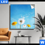 Leuchtbild Pusteblume No 2 Quadrat Produktvorschau mit dem Bild Pusteblume No. 2 im Format Quadrat.