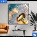 Leuchtbild Pusteblume No 7 Quadrat Produktvorschau mit dem Bild Pusteblume No. 7 im Format Quadrat.