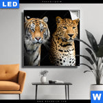 Leuchtbild Raubkatzen Quadrat Produktvorschau mit dem Bild Raubkatzen im Format Quadrat.