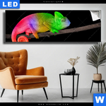 Leuchtbild Regenbogen Chamaeleon Panorama Produktvorschau mit dem Bild Regenbogen Chamäleon im Format Panorama.