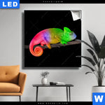 Leuchtbild Regenbogen Chamaeleon Quadrat Produktvorschau mit dem Bild Regenbogen Chamäleon im Format Quadrat.
