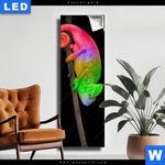 Leuchtbild Regenbogen Chamaeleon Schmal Produktvorschau mit dem Bild Regenbogen Chamäleon im Format Schmal.