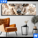 Leuchtbild Rind Kraft Der Stille Panorama Produktvorschau mit dem Bild Rind - Kraft der Stille im Format Panorama.