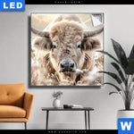 Leuchtbild Rind Kraft Der Stille Quadrat Produktvorschau mit dem Bild Rind - Kraft der Stille im Format Quadrat.