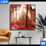 Leuchtbild Roter Herbstwald Quadrat Produktvorschau mit dem Bild Roter Herbstwald im Format Quadrat.