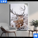 Leuchtbild Rothirsch Im Winter Hochformat Produktvorschau mit dem Bild Rothirsch im Winter im Format Hochformat.