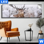 Leuchtbild Rothirsch Im Winter Panorama Produktvorschau mit dem Bild Rothirsch im Winter im Format Panorama.