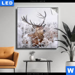 Leuchtbild Rothirsch Im Winter Quadrat Produktvorschau mit dem Bild Rothirsch im Winter im Format Quadrat.