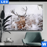 Leuchtbild Rothirsch Im Winter Querformat Produktvorschau mit dem Bild Rothirsch im Winter im Format Querformat.
