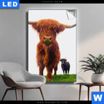 Leuchtbild Schottisches Hochlandrind Hochformat Produktvorschau mit dem Bild Schottisches Hochlandrind im Format Hochformat.