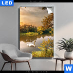 Leuchtbild Schwan Im Teich Hochformat Produktvorschau mit dem Bild Schwan im Teich im Format Hochformat.