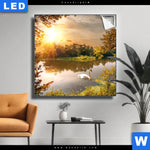 Leuchtbild Schwan Im Teich Quadrat Produktvorschau mit dem Bild Schwan im Teich im Format Quadrat.