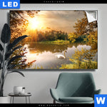 Leuchtbild Schwan Im Teich Querformat Produktvorschau mit dem Bild Schwan im Teich im Format Querformat.