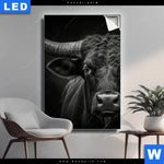 Leuchtbild Schwarzer Bulle Hochformat Produktvorschau mit dem Bild Schwarzer Bulle im Format Hochformat.