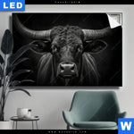 Leuchtbild Schwarzer Bulle Querformat Produktvorschau mit dem Bild Schwarzer Bulle im Format Querformat.