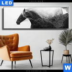 Leuchtbild Schwarzes Pferd Voller Energie Panorama Produktvorschau mit dem Bild Schwarzes Pferd voller Energie im Format Panorama.