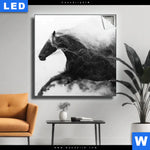 Leuchtbild Schwarzes Pferd Voller Energie Quadrat Produktvorschau mit dem Bild Schwarzes Pferd voller Energie im Format Quadrat.