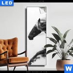 Leuchtbild Schwarzes Pferd Voller Energie Schmal Produktvorschau mit dem Bild Schwarzes Pferd voller Energie im Format Schmal.