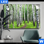 Leuchtbild Sommerbirken Querformat Produktvorschau mit dem Bild Sommerbirken im Format Querformat.