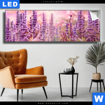 Leuchtbild Sommeridylle Mit Lavendel Panorama Produktvorschau mit dem Bild Sommeridylle mit Lavendel im Format Panorama.