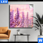 Leuchtbild Sommeridylle Mit Lavendel Quadrat Produktvorschau mit dem Bild Sommeridylle mit Lavendel im Format Quadrat.